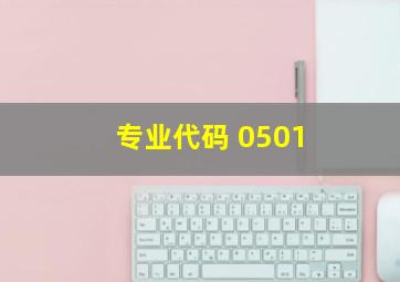 专业代码 0501